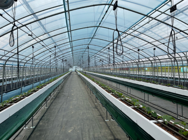 맞춤형 스마트팜 모습