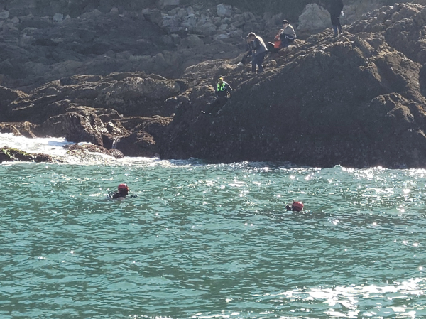 파도리해수욕장 인근 갯바위