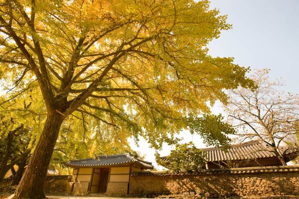 청라 은행마을 사진