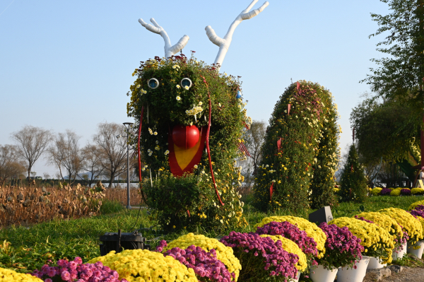 백제고도 부여국화축제 모습