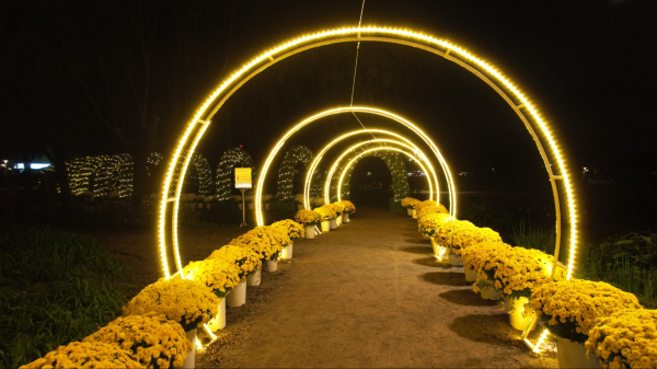 부여국화축제 야간경관