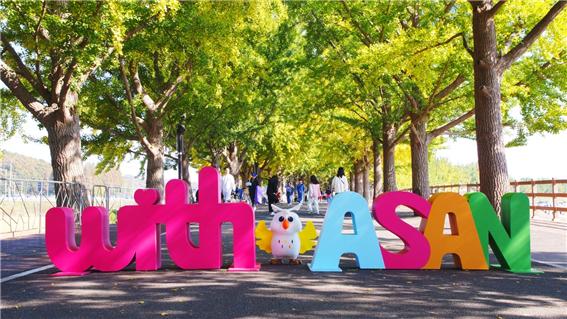 은행나무길에 전시된 선문대 디자인학부 학생들의 타이포그래피 벤치/선문대 제공