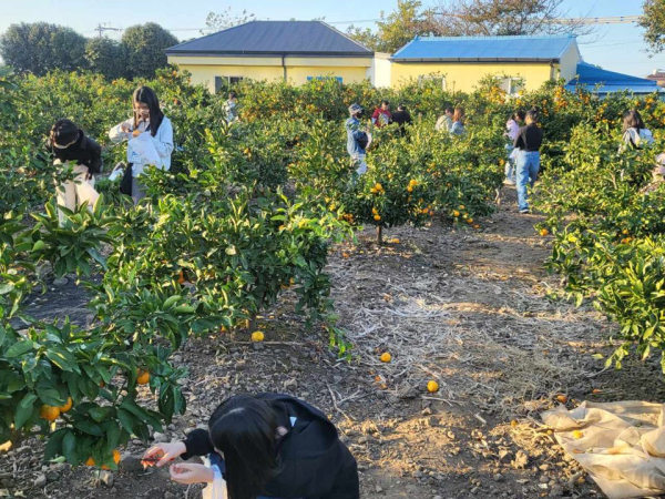세종시 초등학생들이 제주 역사‧생태 체험 프로그램에 참여하고 있다.