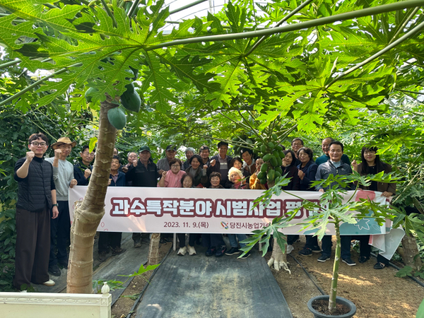 과수특작분야 시범사업 평가회 개최 모습