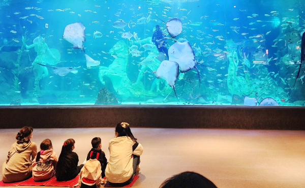 17일 드림스타트 아동들이 대전신세계 ART&SCIENCE에서 문화체험을 하는 모습