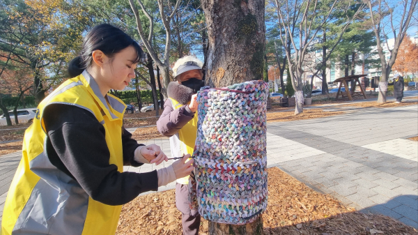 서구 보라매공원에서 열린 나무 옷 설치 장면