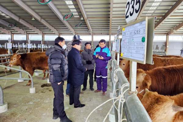 21일 김갑식 농업기술센터 소장이 가축경매시장을 방문해 농가와 축산 관계자를 격려했다