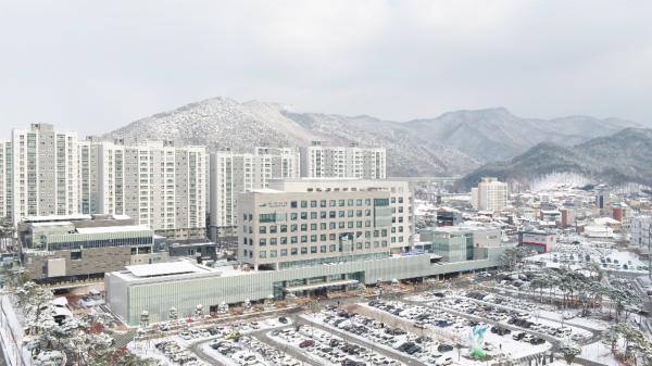 예산군청사 설경 모습