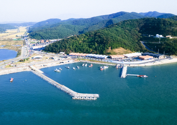 천북면 장은항 전경