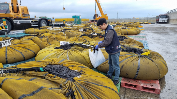 충남도 수산자원연구소가 수산물안전성조사를 하고 있다