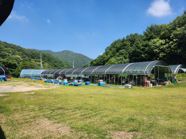 서구 관내 양봉농가 전경