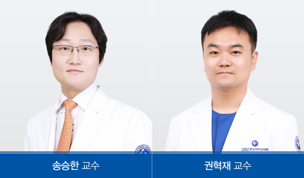 성형외과 송승한 교수 연구팀