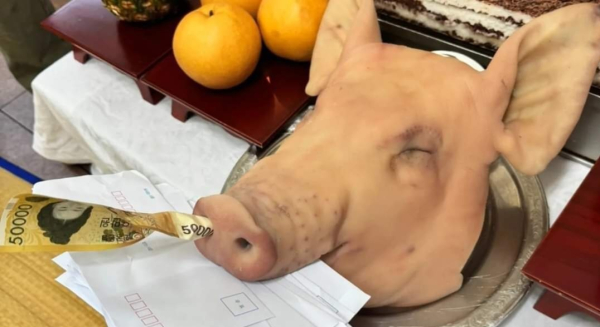 돼지머리에 5만 원권 지폐가 꽂혀있다. (사진은 기사 내용과 무관)