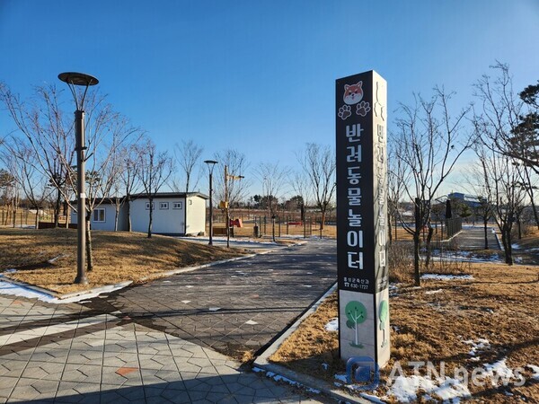 반려동물놀이터