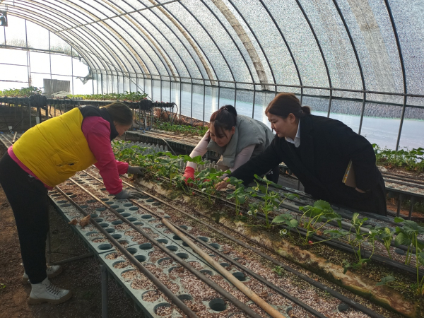 계절근로자 활동 사진