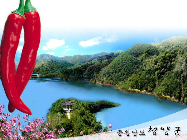 청양고추 이미지