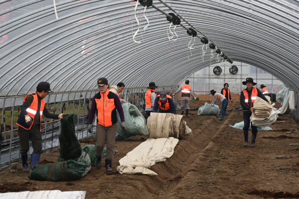 규암면 비닐하우스 화재 복구