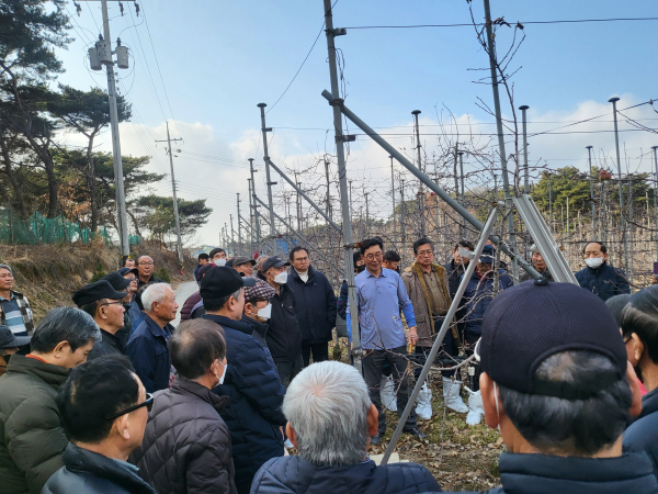 사과 나무 정지·전정 현장 교육 모습