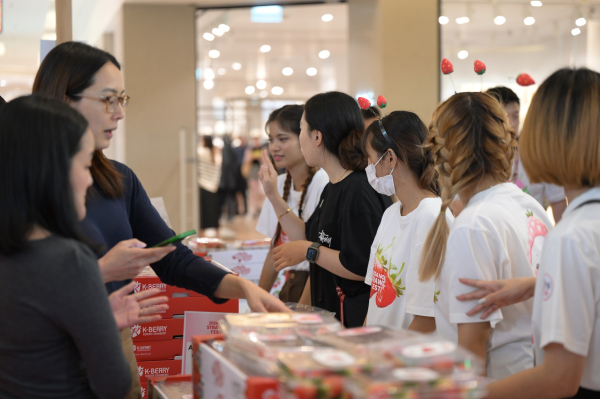 딸기 판촉행사장