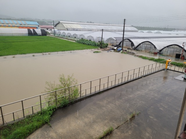 문주지구 배수개선 대상지 침수피해 모습