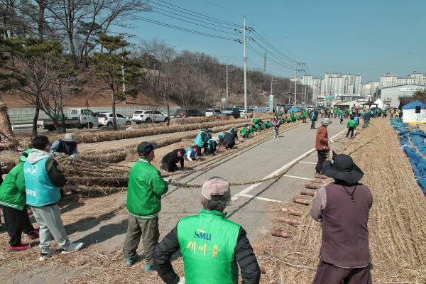 2024 기지시줄다리기 축제 개최 위한 큰 줄 제작 모습