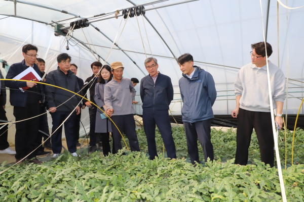 충남세종농협은 잦은 강우와 일조량 부족으로 생육이 부진하여 농업피해가 발생됨에 따라 부여군 시설하우스 농가를 방문해 현장의 의견을 청취했다.