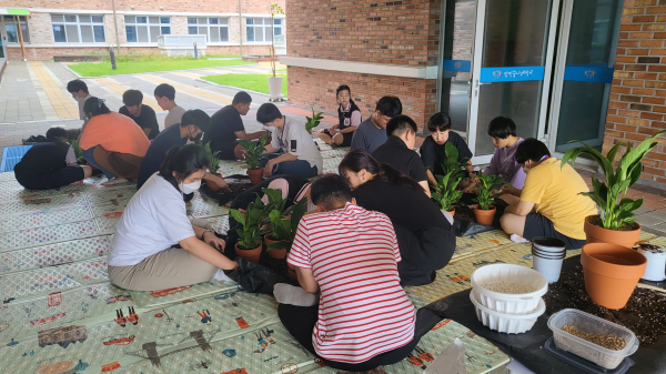 2023년 공기정화식물 심기 교육 사진