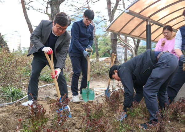 27일, 교육감을 비롯한 직원들이 참여하여 교육청 내에  영산홍 등 나무 100여 그루를 심는 식목행사 모습