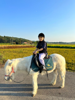 학생 승마 체험 모습