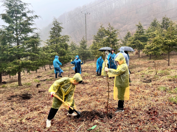 지난 28일 경북 예천군 국립산림치유원 일대에서 예천 용문초, 상리초, 은풍초 학생들과 지역주민이 수목을 식재하고 있다