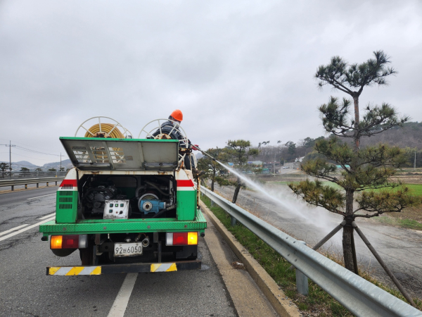 지난 3월 29일 국도32호선 태안 방면 소나무 가로수 염화칼슘 중화제 살포 장면