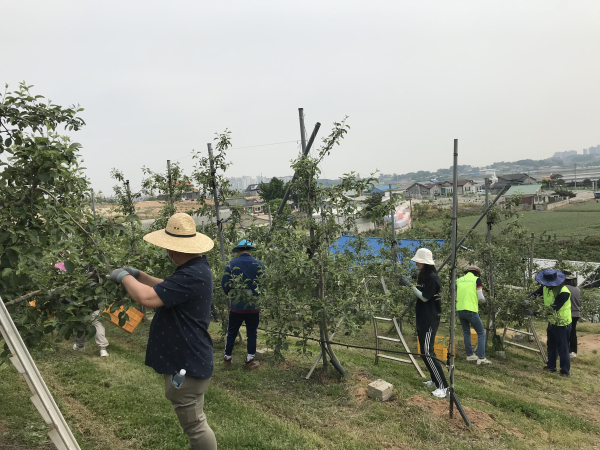 2023년도 공직자 일손 돕기 참여 사진