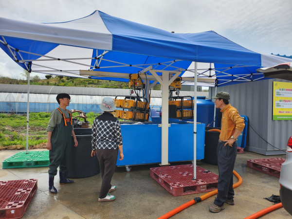 볍씨 온탕 소독 및 최아은행 서비스 시행