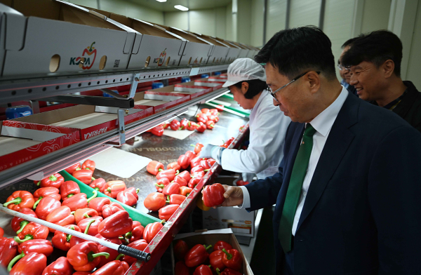 진주원예농협 선별장 방문 현장사진  * 한국농수산식품유통공사 김춘진 사장(가운데)