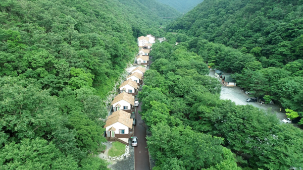 금산산림문화타운