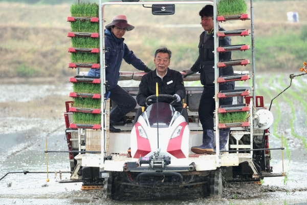 21일 태안읍 산후리 영농 현장을 찾은 가세로 군수 모내기 시연 모습