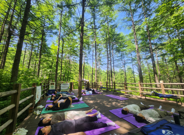 지난 18일 경북 김천시 증산면 국립김천치유의숲 자작나무숲에서 김천지역 임신부 가족들이 숲태교 프로그램에 참여하고 있다