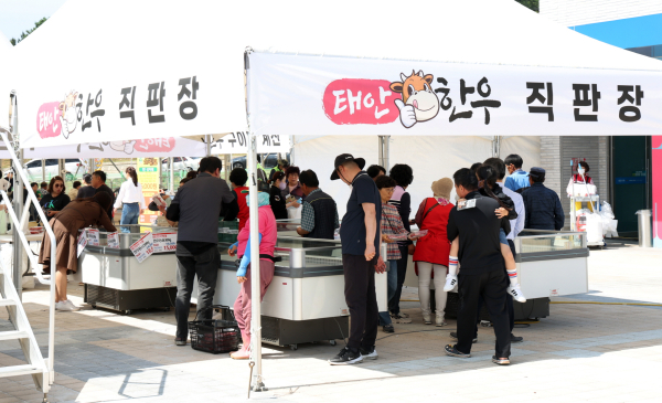 지난해 태안한우 축제(2023. 6. 2.)