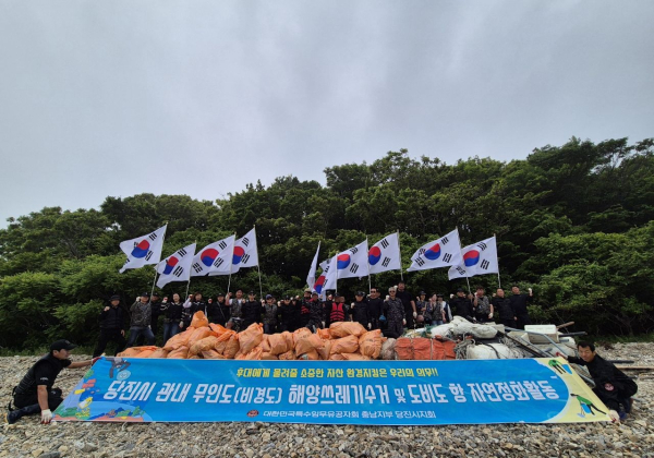 환경정화 활동 모습