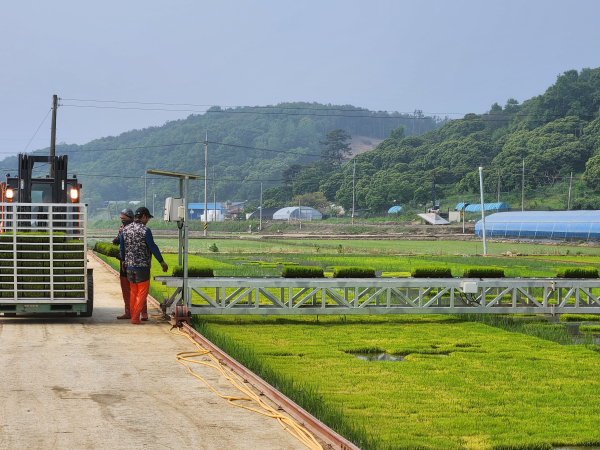 벼 자동화 공동육묘장 지원