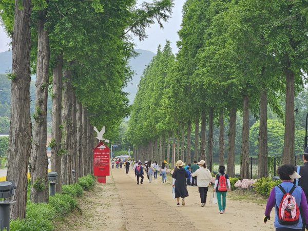덕산온천 명상치유숲 둘레길 걷기 행사