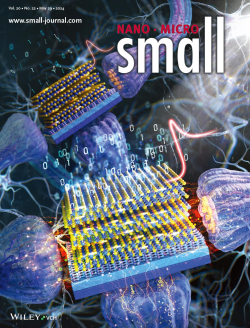 ‘Small’ 표지 이미지