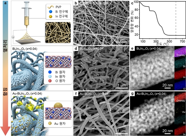 가시광활성 이산화질소 감지용 금 나노입자 결착 및 비스무스가 도핑된 인듐산화물(Au-BixIn2-xO3) 나노섬유 소재 제작 모식도