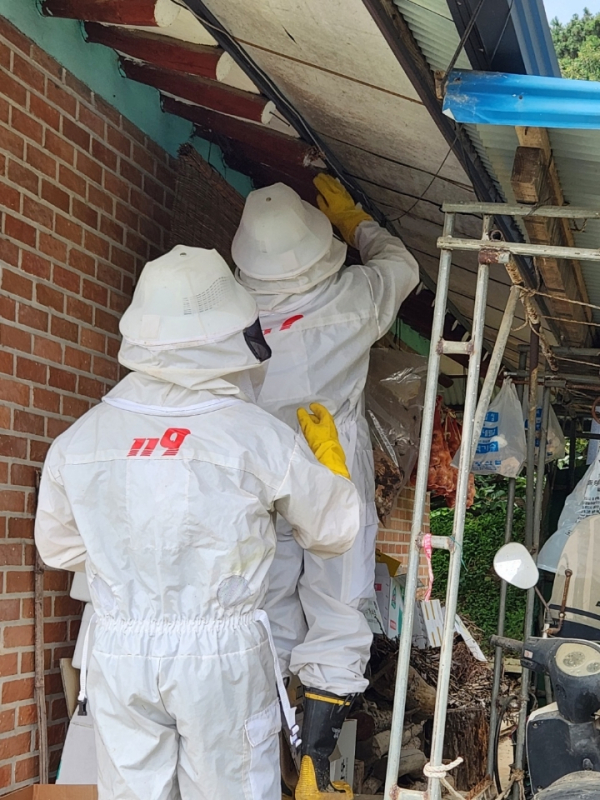 벌집 제거 모습