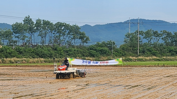 전략작물 파종·수확 시연회 개최 모습