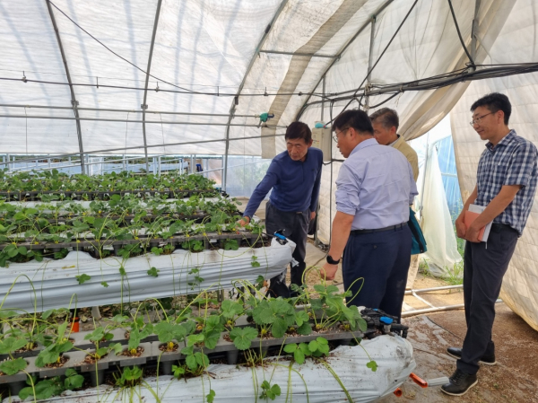 이승원 세종시 경제부시장, 연서면 신대리 시설하우스 농가 방문 모습