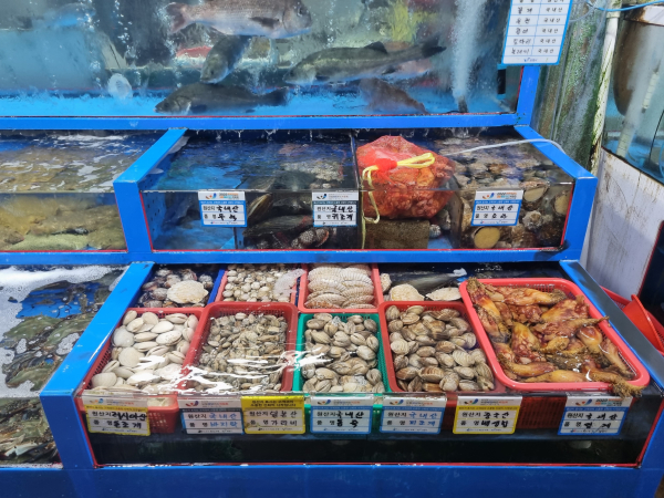 해수욕장 개장 대비 원산지 표시 특별점검 모습