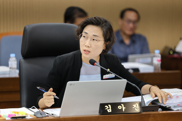 김아진 서천군의원