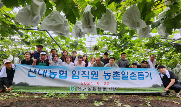 산내농협 임직원 농촌일손돕기 실시