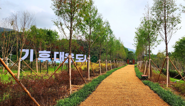 기후대응 도시숲 사진